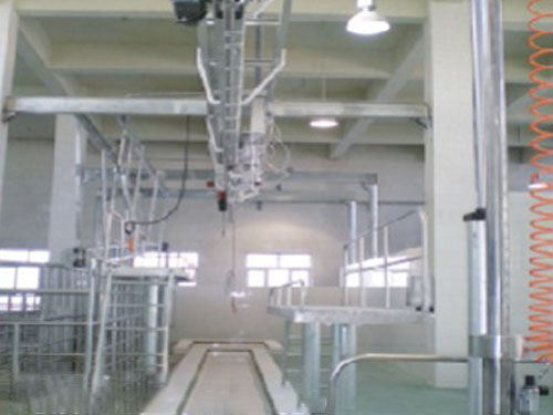 立式放血自動線