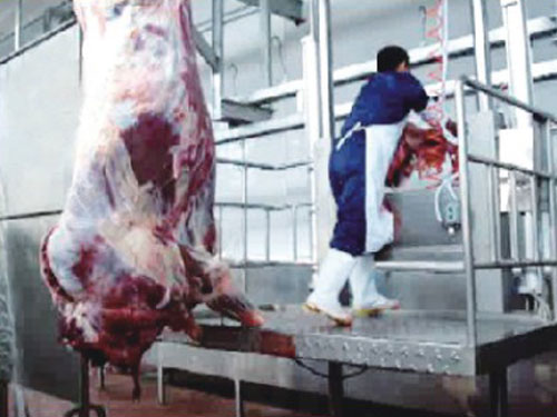 取紅臟氣動升降臺