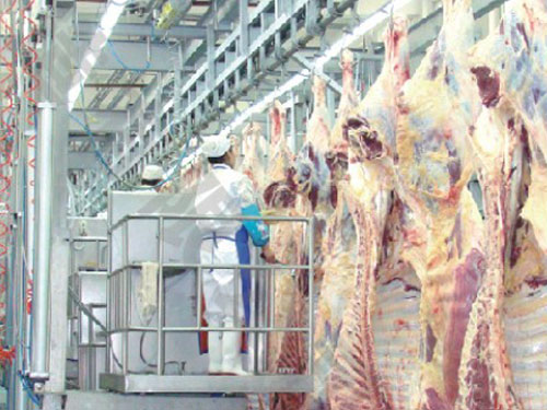 胴體檢驗氣動升降臺