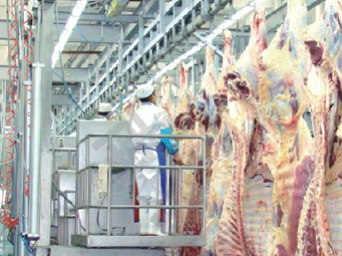 整檢疫氣動升降臺