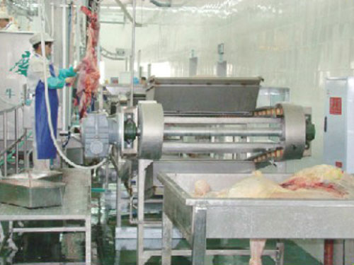 腸胃檢疫輸送機(jī)