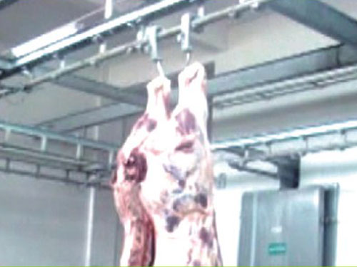 懸掛式軌道稱(chēng)