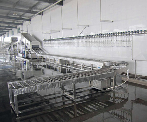 家禽屠宰流水線