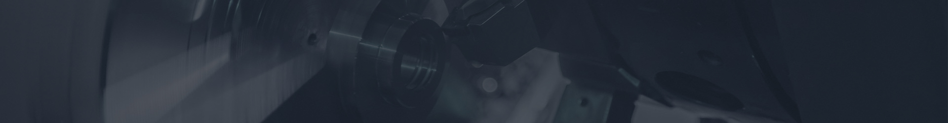 南京德龍屠宰設(shè)備制造有限公司